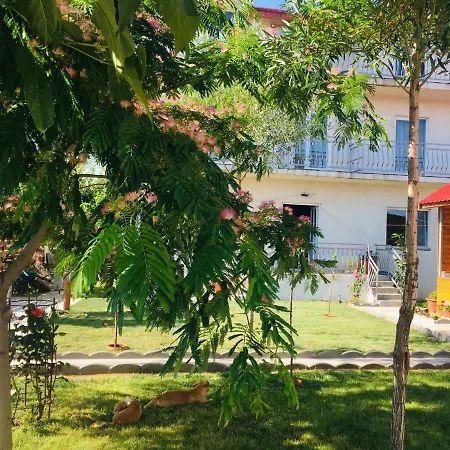 Alexia 4* Корбу